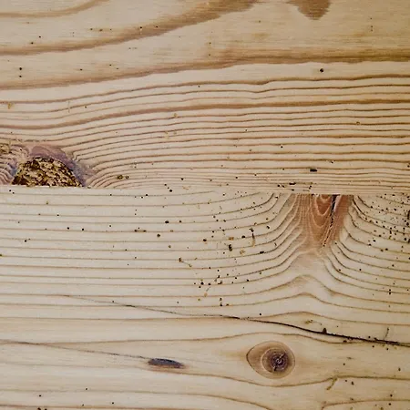 Fortuna 3.5 - Griwarent Ag *